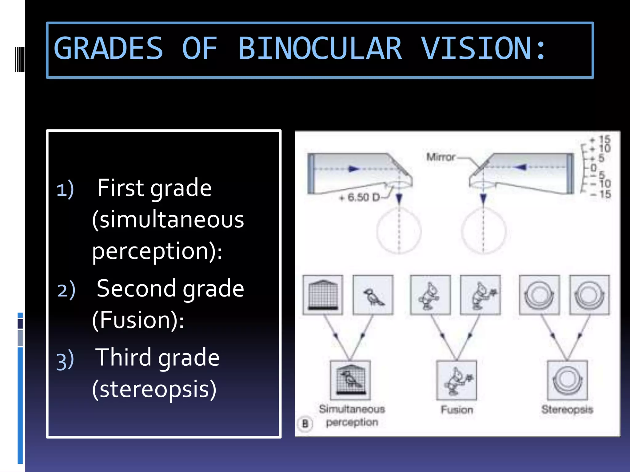 GRADES OF BINOCULAR VISION:
1) First grade
(simultaneous
perception):
2) Second grade
(Fusion):
3) Third grade
(stereopsis)
 