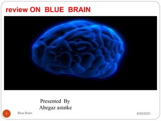 review ON BLUE BRAIN
9/20/2021
Blue Brain
1
Presented By
Abegaz astatke
 