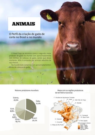 O Perfil da criação de gado de
corte no Brasil e no mundo:
Maiores produtores mundiais: Mapa com as regiões produtoras
do território nacional:
O Brasil hoje se encontra como o segundo maior
produtor de gado no mundo com aproximadamente
210 milhões de cabeças de gado, sendo que desse
montante, 90% é composta por animais zebuínos da
raça Nelore.
No mundo todo contamos com aproximadamente 1
bilhão de cabeças de gado.
ANIMAIS
 