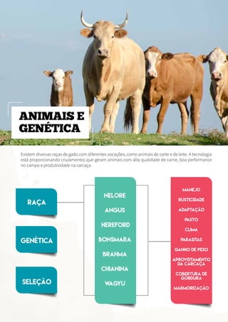 Existem diversas raças de gado com diferentes vocações, como animais de corte e de leite. A tecnologia
está proporcionando cruzamentos que geram animais com alta qualidade de carne, boa performance
no campo e produtividade na carcaça.
ANIMAIS E
GENÉTICA
 