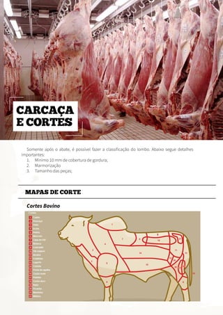 Somente após o abate, é possível fazer a classificação do lombo. Abaixo segue detalhes
importantes:
1.	 Mínimo 10 mm de cobertura de gordura;
2.	 Marmorização
3.	 Tamanho das peças;
Cortes Bovino
MAPAS DE CORTE
CARCAÇA
E CORTES
 