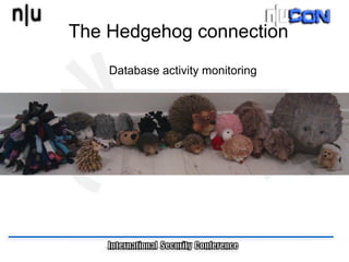 The Hedgehog connection
    Database activity monitoring
 