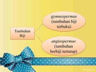 Tumbuhan 
Biji 
gymnospermae 
(tumbuhan biji 
terbuka) 
angiospermae 
(tumbuhan 
berbiji tertutup) 
 