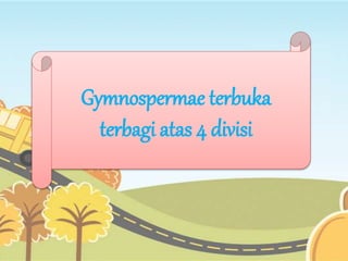 Gymnospermae terbuka 
terbagi atas 4 divisi 
 