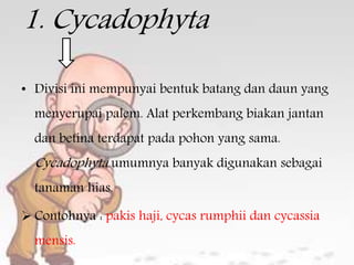 1. Cycadophyta 
• Divisi ini mempunyai bentuk batang dan daun yang 
menyerupai palem. Alat perkembang biakan jantan 
dan betina terdapat pada pohon yang sama. 
Cycadophyta umumnya banyak digunakan sebagai 
tanaman hias. 
 Contohnya : pakis haji, cycas rumphii dan cycassia 
mensis. 
 