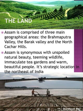  Assam is comprised of three main
geographical areas: the Brahmaputra
Valley, the Barak valley and the North
Cachar Hills.
 Assam is synonymous with unspoiled
natural beauty, teeming wildlife,
immaculate tea gardens and warm,
beautiful people. It’s strategic location in
the northeast of India
Shashwat Raj
 
