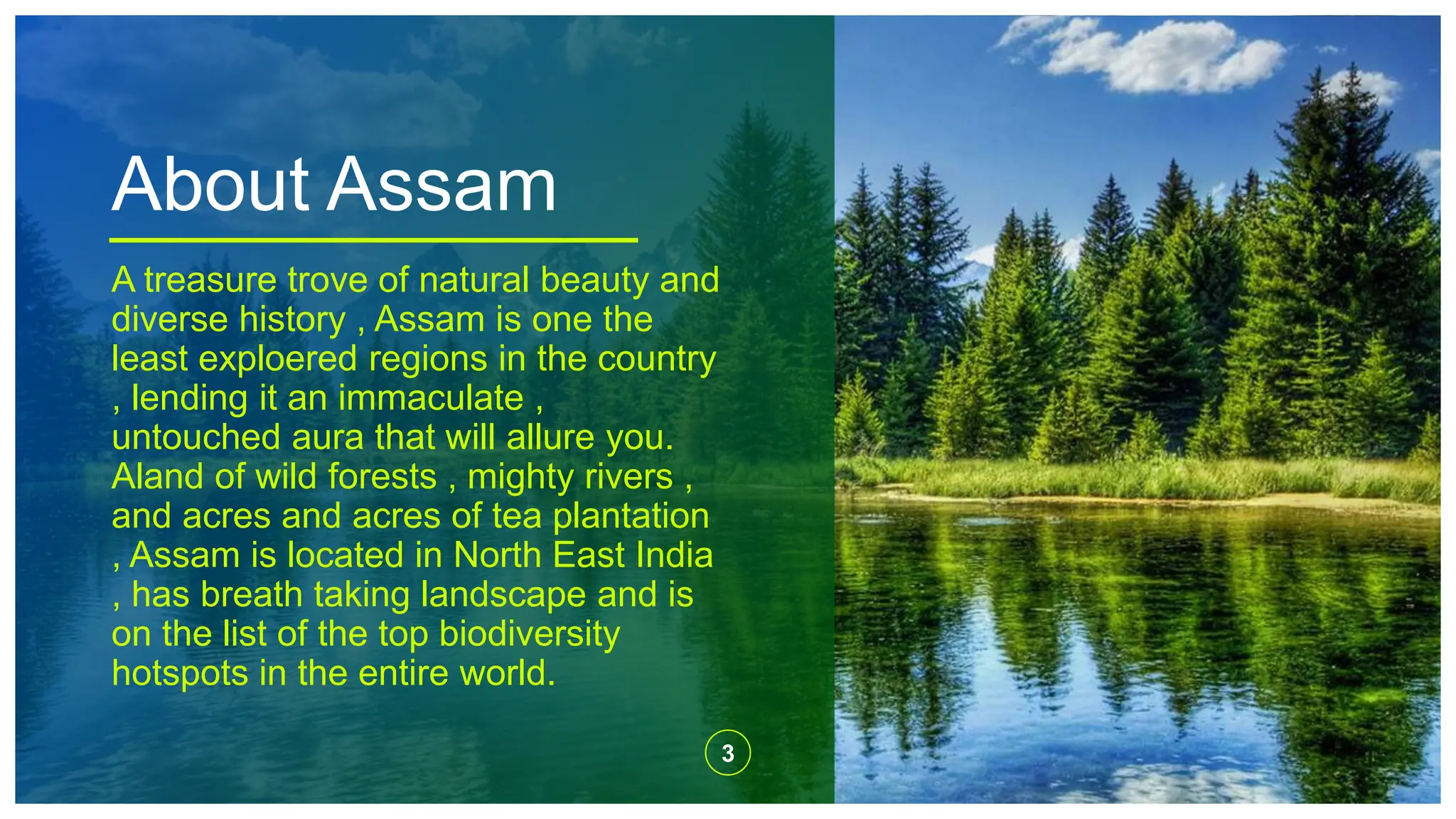 About Assam
A treasure trove of natural beauty and
diverse history , Assam is one the
least exploered regions in the country
, lending it an immaculate ,
untouched aura that will allure you.
Aland of wild forests , mighty rivers ,
and acres and acres of tea plantation
, Assam is located in North East India
, has breath taking landscape and is
on the list of the top biodiversity
hotspots in the entire world.
3
 