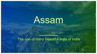 Assam
The one of many beautiful state of India
 