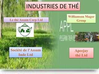 Le thé Assam Corp Ltd
Société de l'Assam
Inde Ltd
Williamson Magor
Group
Apeejay
thé Ltd
INDUSTRIES DE THÉ
 