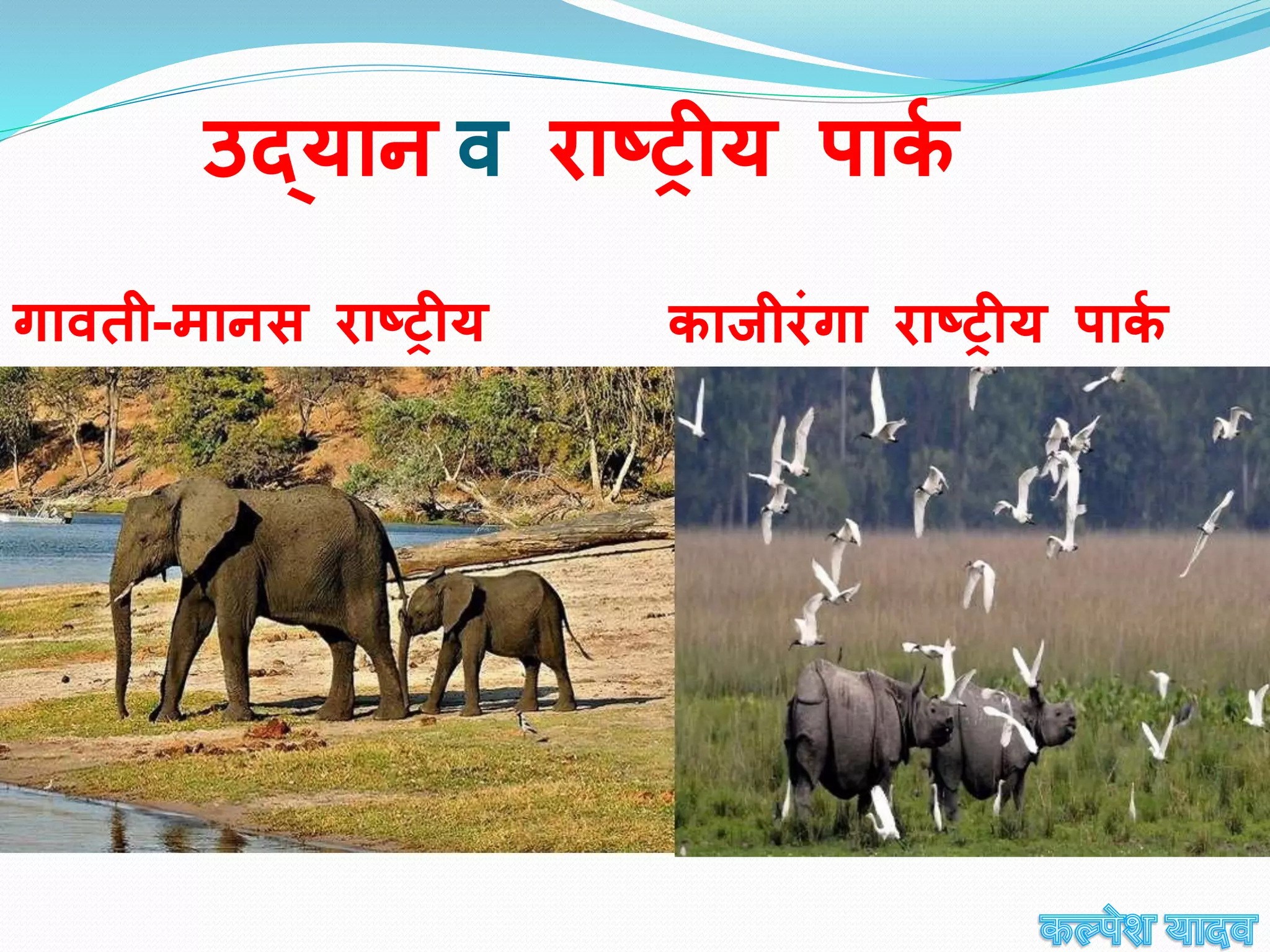 Assamppt IN HINDI असम पीपीटी इन हिंदी {ART INTEGRATED PROJECT}   description ki last line MUST TO READ("jane.....lo")