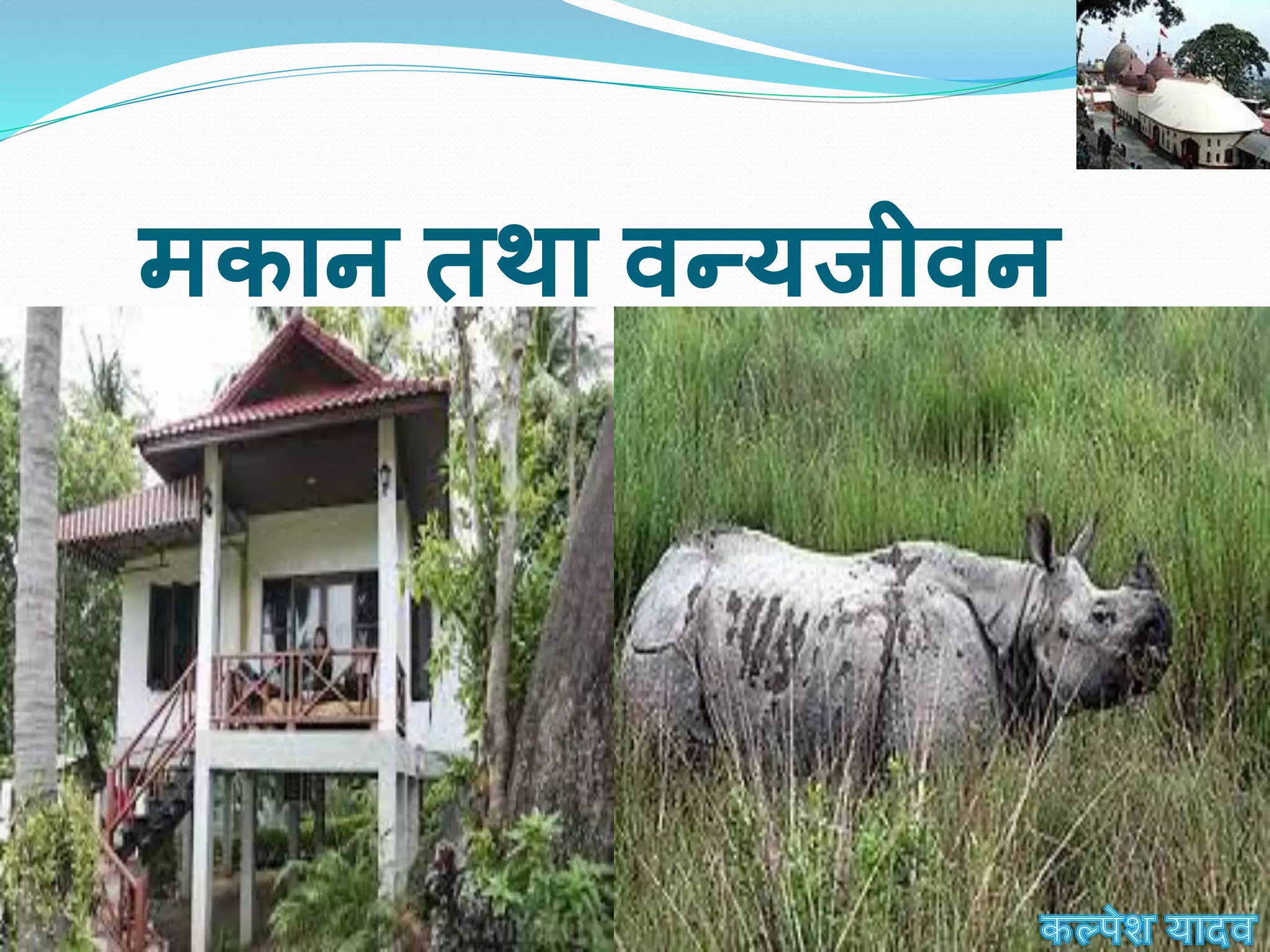 Assamppt IN HINDI असम पीपीटी इन हिंदी {ART INTEGRATED PROJECT}   description ki last line MUST TO READ("jane.....lo")