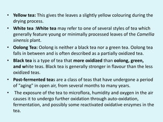 Assam Tea.ppt