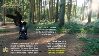 I AM Kenneth Andre of Spirit.
For the LORD God is a sun and
shield; the LORD bestows favor
and honor; no good thing does
he withhold from those whose
walk is blameless.- Psalm 84:11
JOB 31:26- If I beheld
the sun when it shined,
or the moon walking in
brightness
DEUTERONOMY 33:14
- And for the precious
fruits brought forth by
the sun, and for the
precious things put
forth by the moon
 