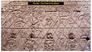 The Net - The Field of the Matrix
 