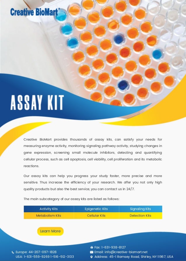 Assay kit
