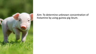 Aim: To determine unknown concentration of
histamine by using guinea pig ileum.
 