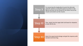 Step XII Select the experimental design and get the response with
standard and test drug.
Step XI Then, attach into the organ bath and leave for relaxation
at least 30-45 min.
Step X
For preserving the longitudinal muscle the alternate
opposite vertical cut should be given (as shown in the
figure) and then tie the thread on the either end of the
muscle and stretch out the muscle.
 