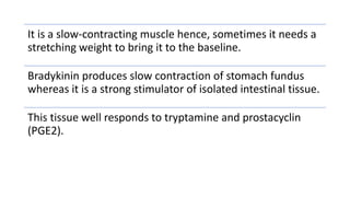 It is a slow-contracting muscle hence, sometimes it needs a
stretching weight to bring it to the baseline.
Bradykinin produces slow contraction of stomach fundus
whereas it is a strong stimulator of isolated intestinal tissue.
This tissue well responds to tryptamine and prostacyclin
(PGE2).
 