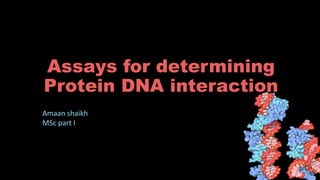 Assays for determining
Protein DNA interaction
Amaan shaikh
MSc part I
 
