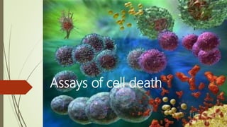 Assays of cell death
 