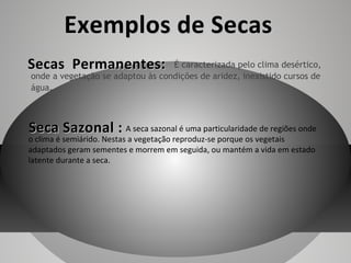 Exemplos de Secas
Secas Permanentes:

É caracterizada pelo clima desértico,
onde a vegetação se adaptou às condições de aridez, inexistido cursos de
água.

Seca Sazonal : A seca sazonal é uma particularidade de regiões onde

o clima é semiárido. Nestas a vegetação reproduz-se porque os vegetais
adaptados geram sementes e morrem em seguida, ou mantém a vida em estado
latente durante a seca.

 