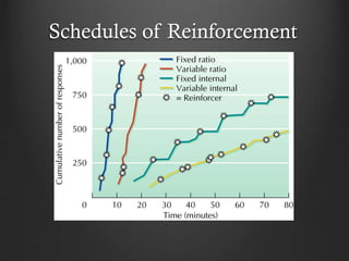 Schedules of Reinforcement
 