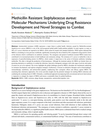 R E V I E W
Methicillin Resistant Staphylococcus aureus:
Molecular Mechanisms Underlying Drug Resistance
Development and Novel Strategies to Combat
Assefa Asnakew Abebe 1,2
, Alemayehu Godana Birhanu1
1
Department of Molecular Biology, Institute of Biotechnology, Addis Ababa University, Addis Ababa, Ethiopia; 2
Department of Medical laboratory
Sciences, Institute of Health, Bule Hora University, Bule Hora, Ethiopia
Correspondence: Assefa Asnakew Abebe, Po Box 1176, Tel +251911629276, Email assefa1775@gmail.com
Abstract: Antimicrobial resistance (AMR) represents a major threat to global health. Infection caused by Methicillin-resistant
Staphylococcus aureus (MRSA) is one of the well-recognized global public health problem globally. In some regions, as many as
90% of S. aureus infections are reported to be MRSA, which cannot be treated with standard antibiotics. WHO reports indicated that
MRSA is circulating in every province worldwide, significantly increasing the risk of death by 64% compared to drug-sensitive forms
of the infection which is attributed to its antibiotic resistance. The emergence and spread of antibiotic-resistant MRSA strains have
contributed to its increased prevalence in both healthcare and community settings. The resistance of S. aureus to methicillin is due to
expression of penicillin-binding protein 2a (PBP2a), which renders it impervious to the action of β-lactam antibiotics including
methicillin. The other is through the production of beta-lactamases. Although the treatment options for MRSA are limited, there are
promising alternatives to antibiotics to combat the infections. Innovative therapeutic strategies with wide range of activity and modes
of action are yet to be explored. The review highlights the global challenges posed by MRSA, elucidates the mechanisms underlying
its resistance development, and explores mitigation strategies. Furthermore, it focuses on alternative therapies such as bacteriophages,
immunotherapy, nanobiotics, and antimicrobial peptides, emphasizing their synergistic effects and efficacy against MRSA. By
examining these alternative approaches, this review provides insights into the potential strategies for tackling MRSA infections and
combatting the escalating threat of AMR. Ultimately, a multifaceted approach encompassing both conventional and novel interventions
is imperative to mitigate the impact of MRSA and ensure a sustainable future for global healthcare.
Keywords: MRSA, AMR, resistome, phage therapy, nanoparticles, antimicrobial peptides, lytic
Introduction
Background of Staphylococcus aureus
Staphylococcus aureus belongs to the genus staphylococcus. The bacteria was first identified in 1871 by Von Recklinghausen.1
Scottish surgeon Ogston later confirmed its role in abscesses and suppurative diseases in 1880. Ogston observed the cocci in
grape-like clusters and named it Staphylococcus due to its resemblance to a bunch of grapes. Rosenbach further classified
them as Staphylococcus aureus and Staphylococcus albus in 1884, with the latter later renamed as Staphylococcus
epidermidis.2
S. aureus is a non-spore-forming, non-motile, gram positive cocci that commonly reside in the skin and
upper respiratory system. It is a major component of the body’s microbiota and often associated with infections, particularly
bacteremia. Pathogenic strains of S. aureus can cause several infections, from mild infections to fatal conditions like
bloodstream infections and pneumonia.3
The emergence of strains resistant to antibiotics, especially S. aureus resistant to
the drug methicillin (MRSA), is a significant global health concern. MRSA poses a substantial threat both in medical settings
and community settings, where it spreads rapidly.
MRSA is well known for spreading quickly and infecting people.4
It can be transmitted through direct contact with
infected individuals, contaminated surfaces, or contaminated healthcare settings.5
This ease of transmission contributes to
Infection and Drug Resistance 2023:16 7641–7662 7641
© 2023 Abebe and Birhanu. This work is published and licensed by Dove Medical Press Limited. The full terms of this license are available at https://www.dovepress.com/
terms.php and incorporate the Creative Commons Attribution – Non Commercial (unported, v3.0) License (http://creativecommons.org/licenses/by-nc/3.0/). By accessing
the work you hereby accept the Terms. Non-commercial uses of the work are permitted without any further permission from Dove Medical Press Limited, provided the work is properly attributed.
For permission for commercial use of this work, please see paragraphs 4.2 and 5 of our Terms (https://www.dovepress.com/terms.php).
Infection and Drug Resistance Dovepress
open access to scientific and medical research
Open Access Full Text Article
Received: 14 September 2023
Accepted: 29 November 2023
Published: 14 December 2023
downloaded
from
https://www.dovepress.com/
on
14-Dec-2023
For
personal
use
only.
 