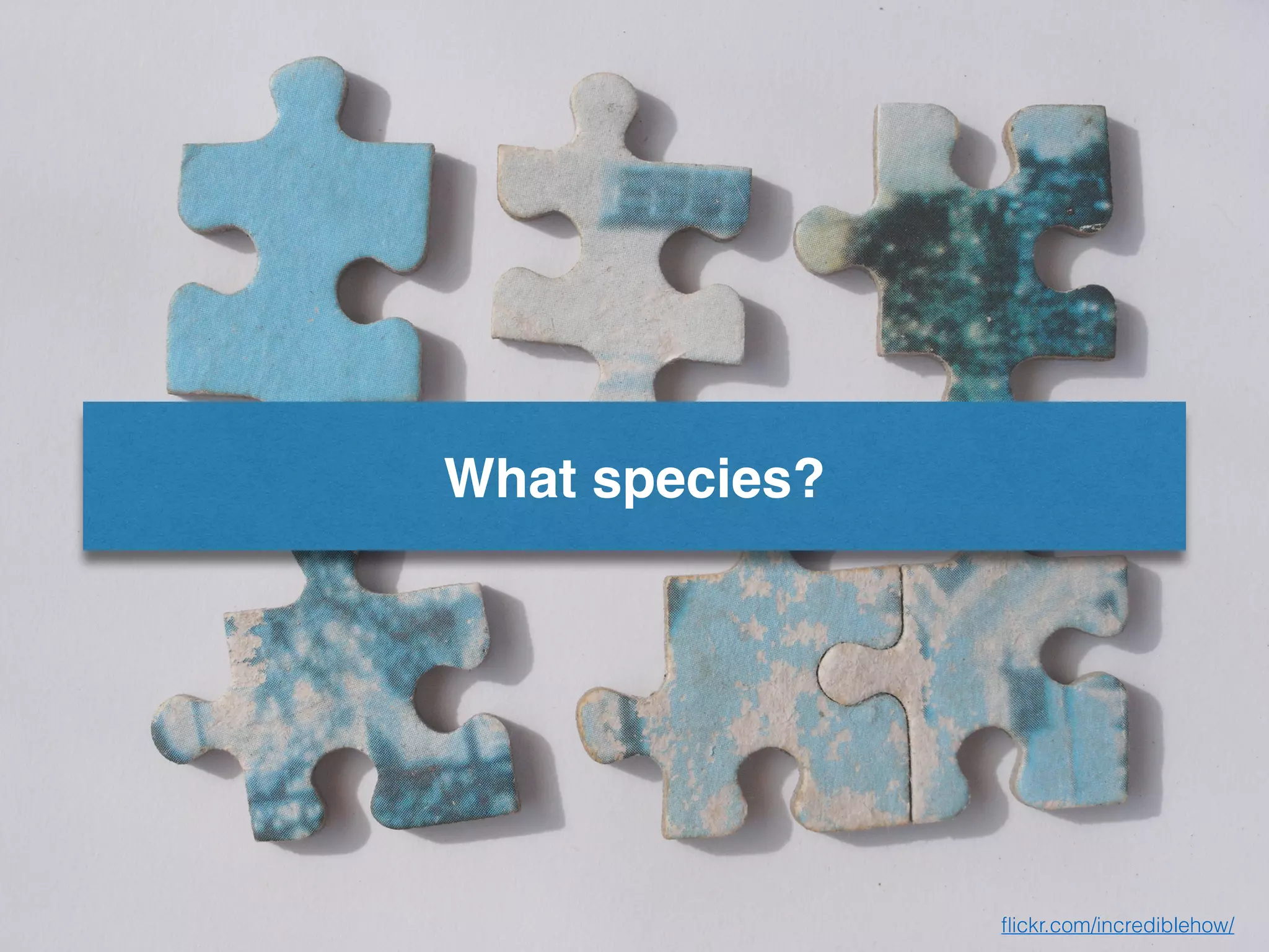 ﬂickr.com/incrediblehow/
What species?
 