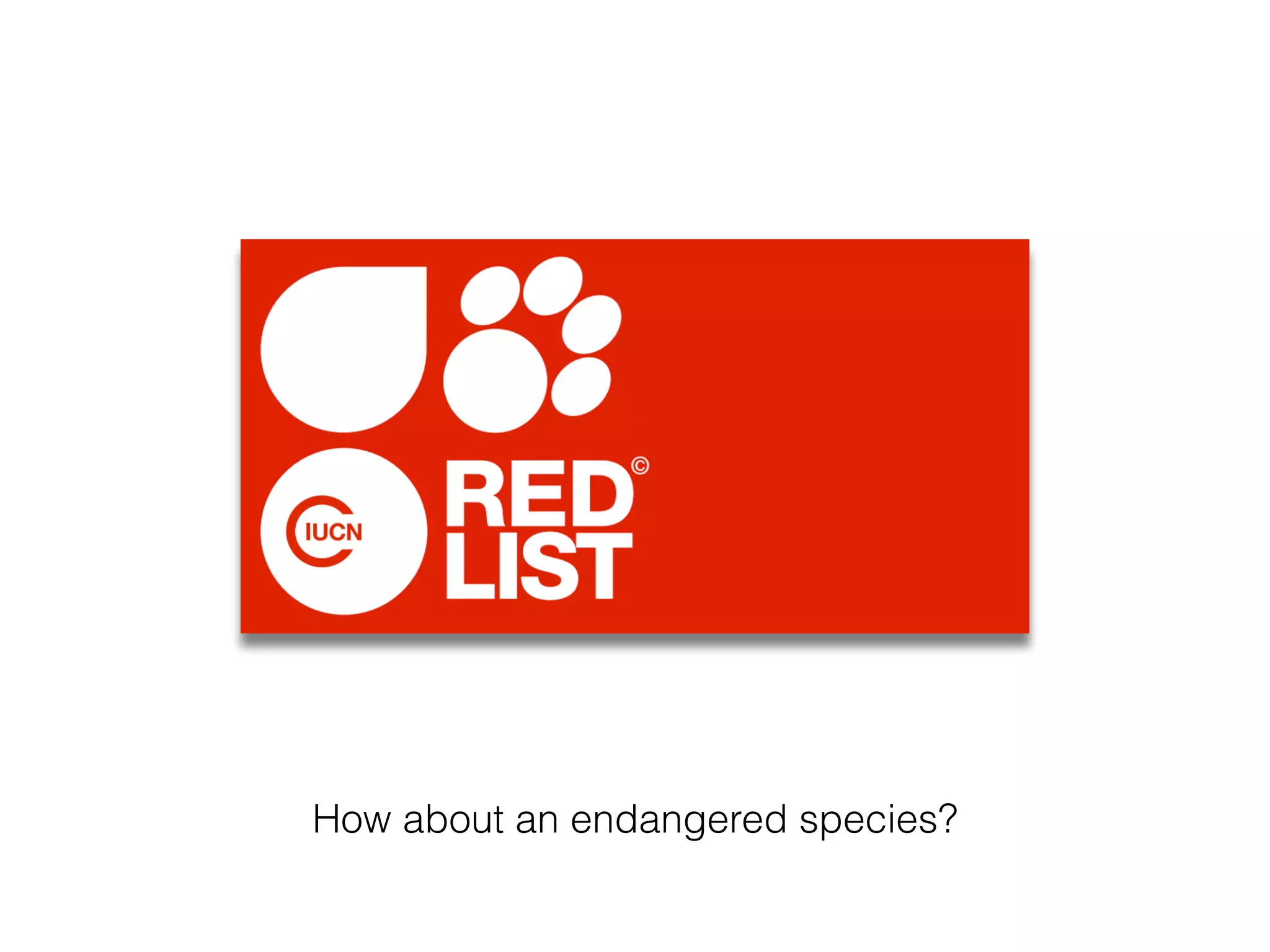 How about an endangered species?
 