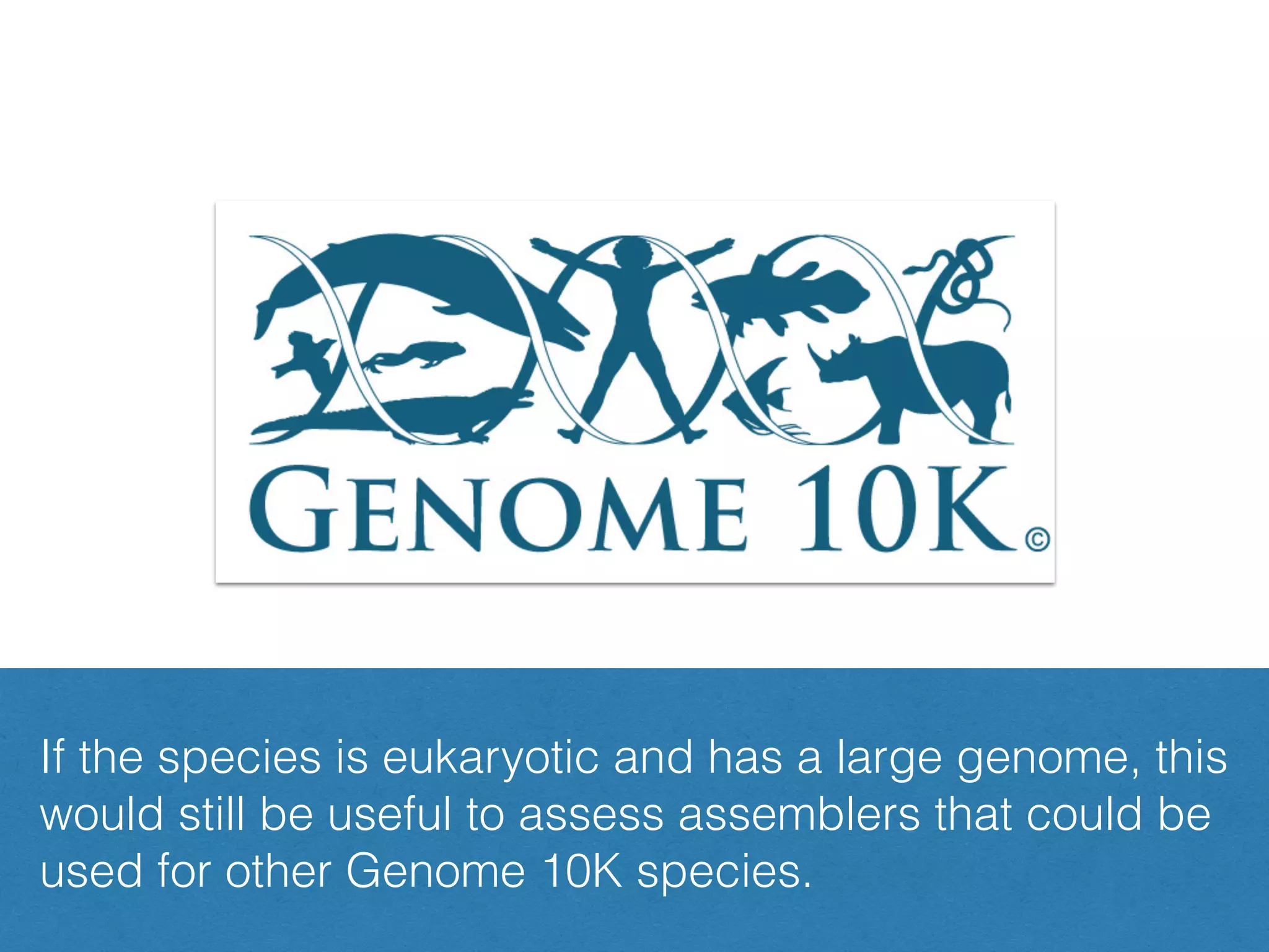 But does it have to be a Genome 10K species ?
If the species is eukaryotic and has a large genome, this
would still be useful to assess assemblers that could be
used for other Genome 10K species.
 