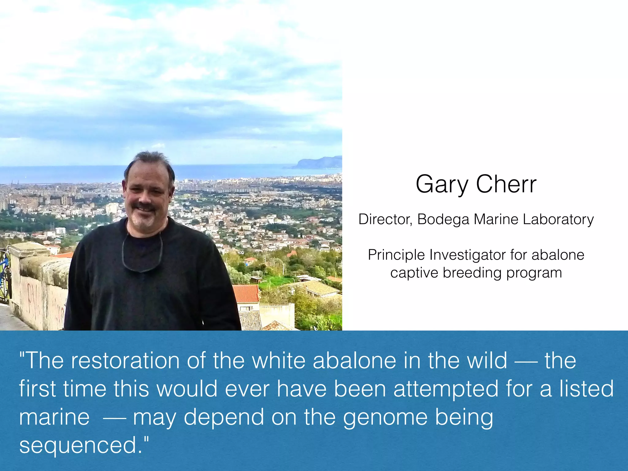"The restoration of the white abalone in the wild — the
ﬁrst time this would ever have been attempted for a listed
marine — may depend on the genome being
sequenced."
Gary Cherr
Director, Bodega Marine Laboratory
Principle Investigator for abalone
captive breeding program
 