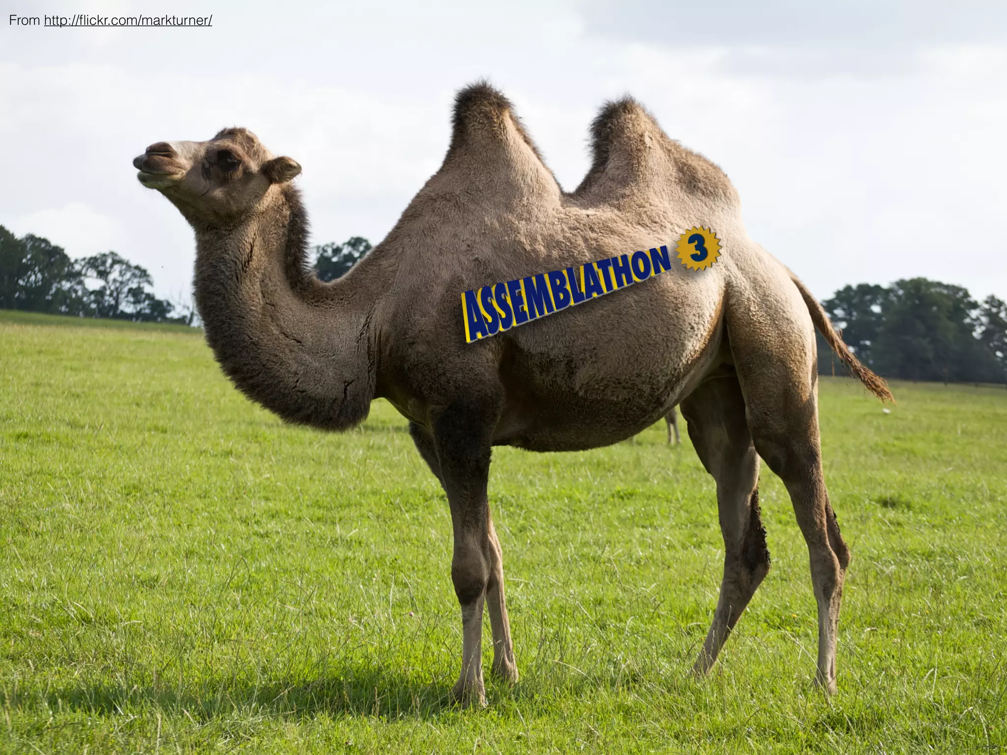 From http://ﬂickr.com/markturner/
 