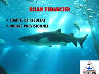 BILAN FINANCIER COMPTE DE RESULTAT BUDGET PREVISIONNEL 