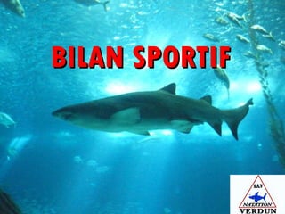 BILAN SPORTIF   