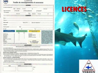 LICENCES 