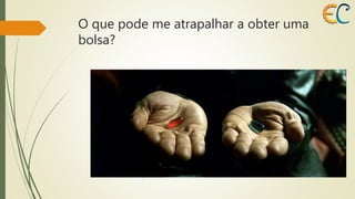 O que pode me atrapalhar a obter uma 
bolsa? 
 