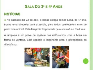 SALA DO 3º E 4º ANOS
NOTÍCIAS
 No passado dia 22 de abril, o nosso colega Tomás Lima, do 4º ano,
trouxe uma lampreia para a escola, para todos conhecerem mais de
perto este animal. Esta lampreia foi pescada pelo seu avô no Rio Lima.
A lampreia é um peixe da espécie dos ciclóstomos, com a boca em
forma de ventosa. Esta espécie é importante para a gastronomia do
Alto Minho.
 