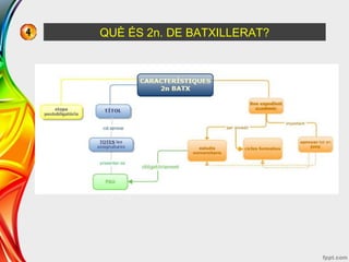 QUÈ ÉS 2n. DE BATXILLERAT?
 