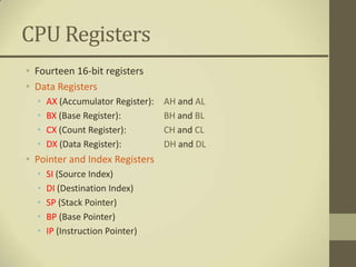 CPU Registers
• Fourteen 16-bit registers
• Data Registers
  •   AX (Accumulator Register):   AH and AL
  •   BX (Base Register):          BH and BL
  •   CX (Count Register):         CH and CL
  •   DX (Data Register):          DH and DL
• Pointer and Index Registers
  •   SI (Source Index)
  •   DI (Destination Index)
  •   SP (Stack Pointer)
  •   BP (Base Pointer)
  •   IP (Instruction Pointer)
 