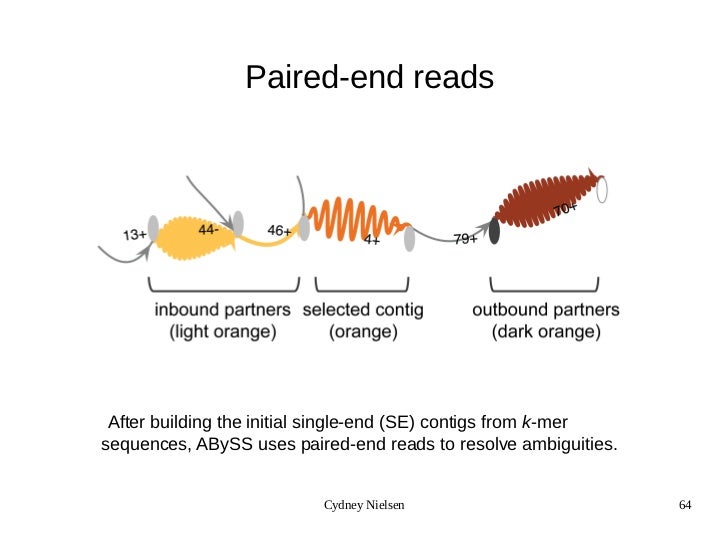 k-mer histogram and Sequencing, Assembly Alignment