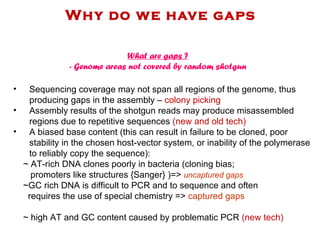 Why do we have gaps Sequencing coverage may not span all regions of the genome, thus producing gaps in the assembly –  colony picking Assembly results of the shotgun reads may produce misassembled regions due to repetitive sequences  (new and old tech) A biased base content (this can result in failure to be cloned, poor stability in the chosen host-vector system, or inability of the polymerase to reliably copy the sequence):  ~ AT-rich DNA clones poorly in bacteria (cloning bias; promoters like structures {Sanger} )=>  uncaptured gaps ~GC rich DNA is difficult to PCR and to sequence and often  requires the use of special chemistry =>  captured gaps ~ high AT and GC content caused by problematic PCR  (new tech) What are gaps ? - Genome areas not covered by random shotgun 