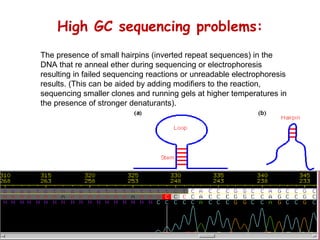 High GC sequencing problems: The presence of small hairpins (inverted repeat sequences) in the DNA that re anneal ether during sequencing or electrophoresis resulting in failed sequencing reactions or unreadable electrophoresis results. (This can be aided by adding modifiers to the reaction, sequencing smaller clones and running gels at higher temperatures in the presence of stronger denaturants). 