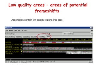 Low quality areas – areas of potential frameshifts  Assemblies contain low quality regions (red tags) 