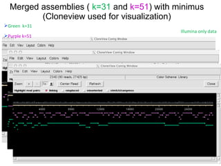 Merged assemblies (  k=31   and   k=51 ) with minimus (Cloneview used for visualization) Green  k=31 Purple k=51 Illumina only data 