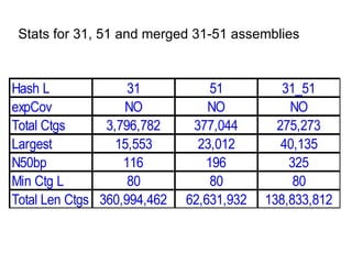 Stats for 31, 51 and merged 31-51 assemblies  