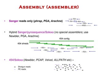 Assembly (assembler) Sanger  reads only ( phrap, PGA, Arachne ) 454/Solexa  ( Newbler, PCAP, Velvet, ALLPATH etc ) –  --3kb--   --3kb--   --8kb--   --8kb--   ---------40kb--------   Hybrid  Sanger/pyrosequence/Solexa  ( no special assemblers ; use Newbler, PGA, Arachne)   454 contig --8kb--   --8kb--   --8kb--   --8kb--   --8kb--   --8kb--   454 shreds Shotgun reads PE reads 