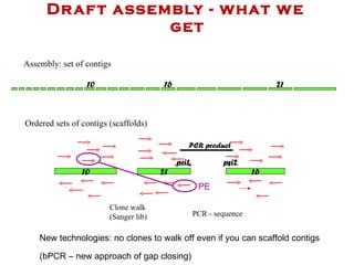 Draft assembly - what we get Assembly: set of contigs 10 16 21 10 21 Clone walk (Sanger lib) Ordered sets of contigs (scaffolds) New technologies: no clones to walk off even if you can scaffold contigs (bPCR – new approach of gap closing)  PE 16 PCR - sequence pri1 pri2 PCR product 