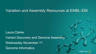 Variation and Assembly Resources at EMBL-EBI
Laura Clarke
Variant Discovery and Genome Assembly
Wednesday November 1st
Genome Informatics
 