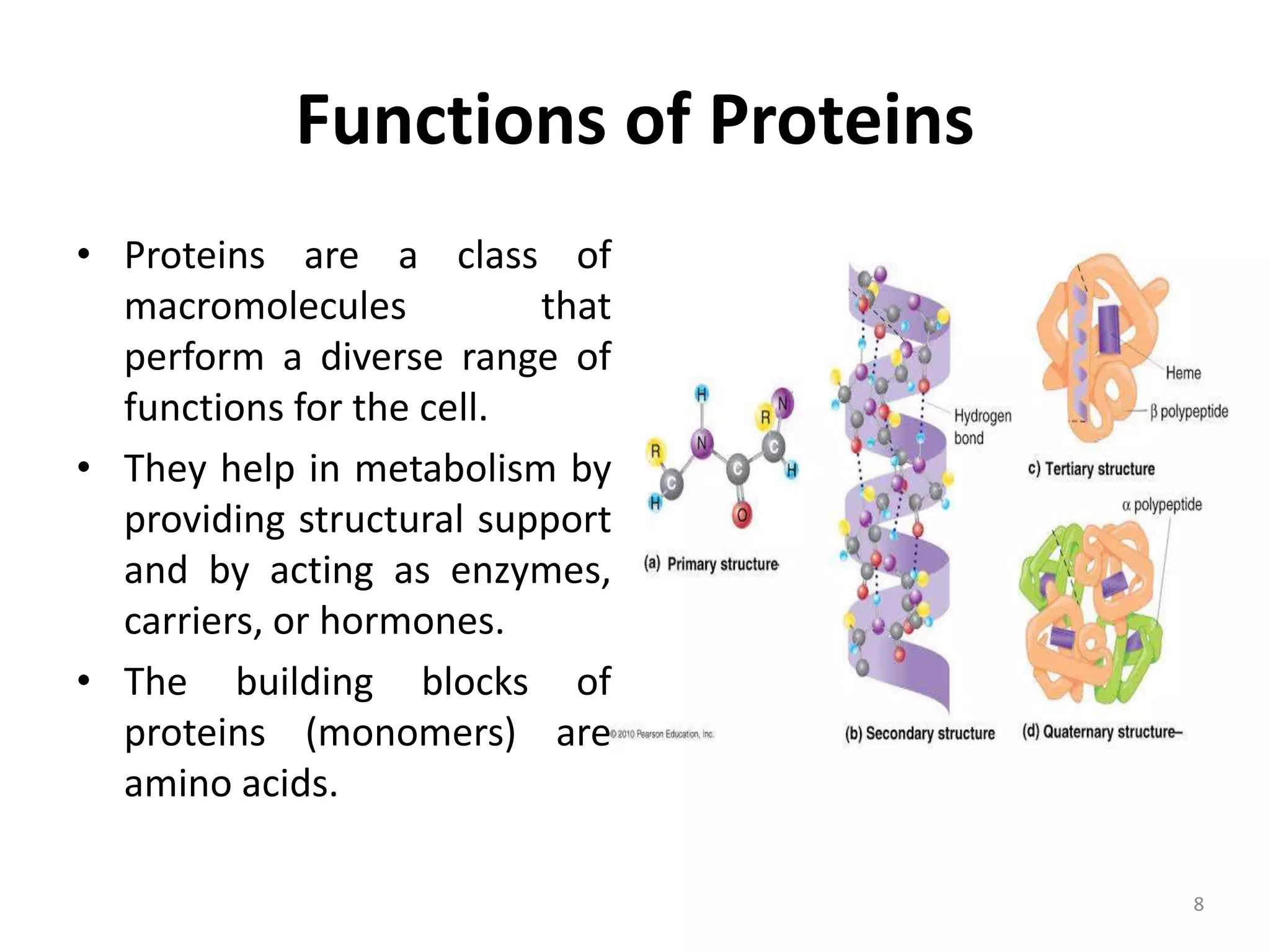 Assembly of macromolecular complexes | PPTX