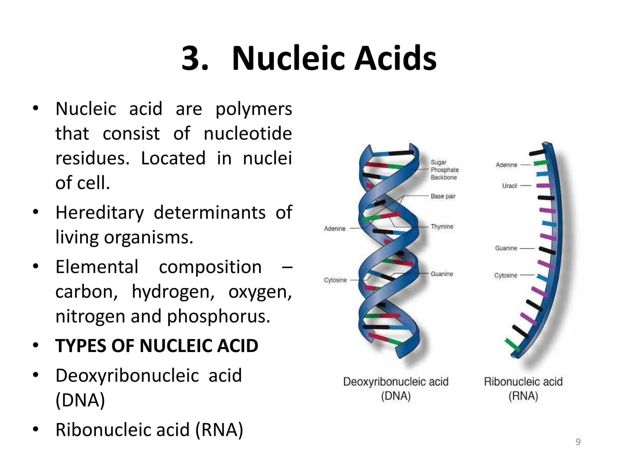 Assembly of macromolecular complexes | PPTX